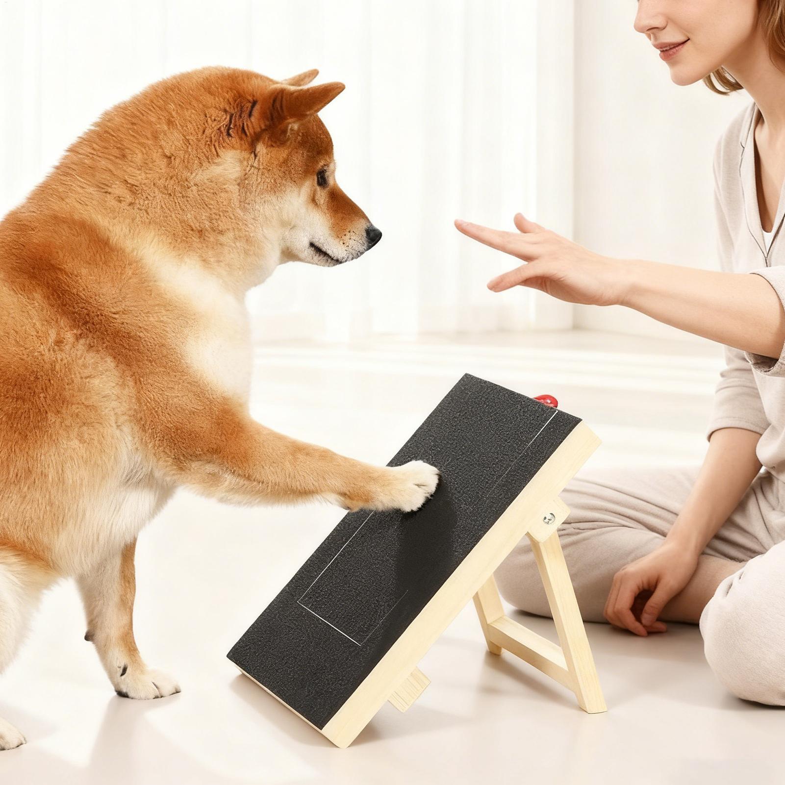 Lixa de Unhas para Cães com Ca - Woodworking Magazine avaliação e preço