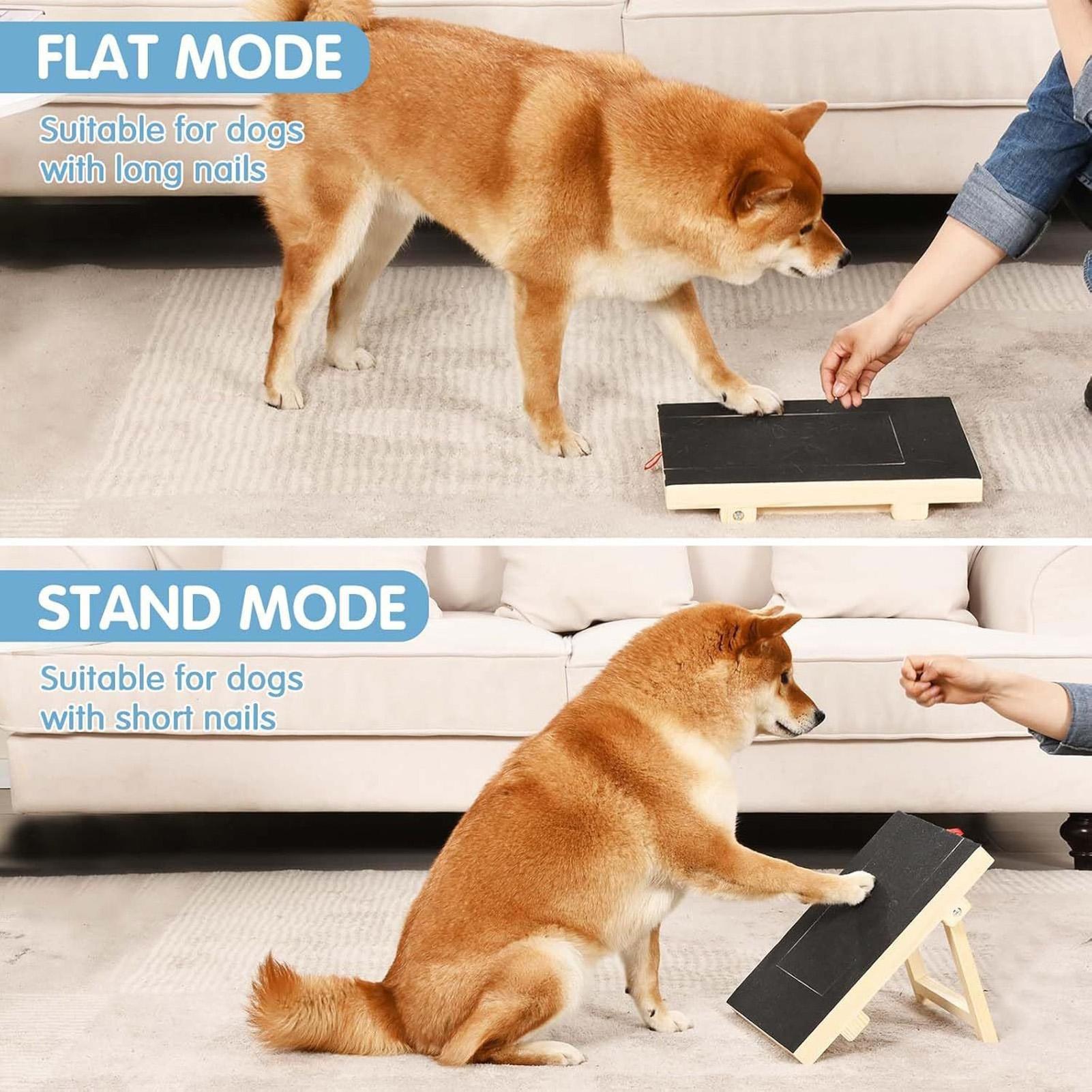 Lixa de Unhas para Cães com Ca - Woodworking Magazine avaliação e preço